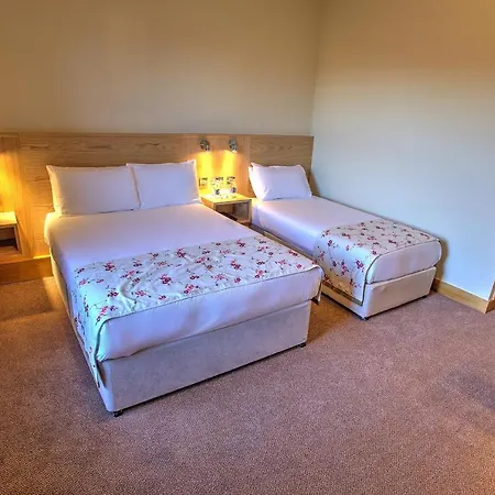 Hotel The 3*